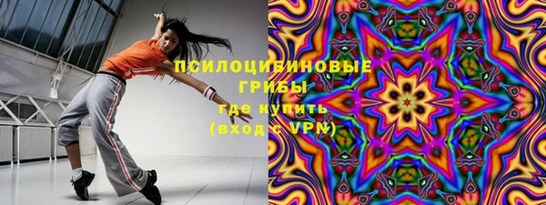ГАЛЛЮЦИНОГЕННЫЕ ГРИБЫ Медногорск