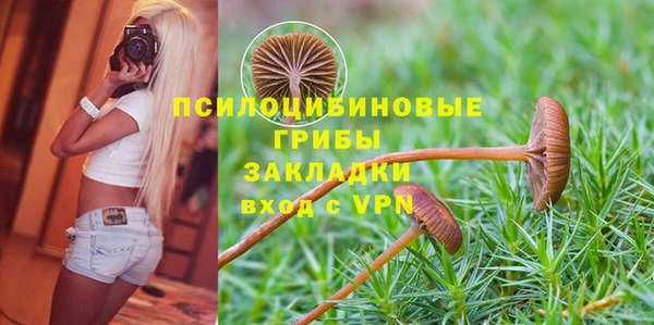 mdpv Медвежьегорск