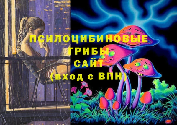 ГАЛЛЮЦИНОГЕННЫЕ ГРИБЫ Медногорск