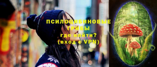 дживик Мегион
