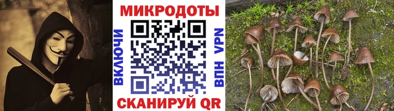 что такое наркотик  Тотьма  Псилоцибиновые грибы мицелий 